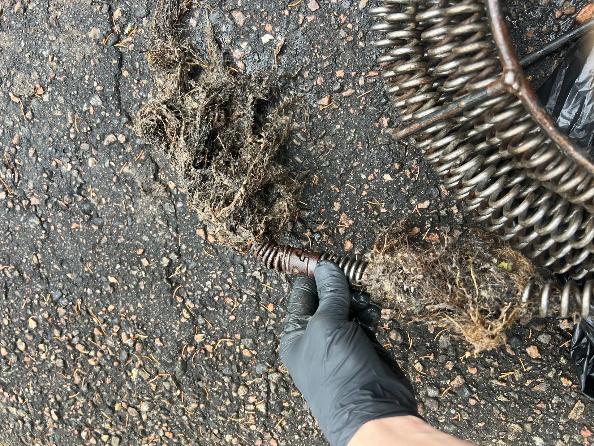 Hand holding a drain snake covered in a clump of hair and debris, on asphalt pavement.