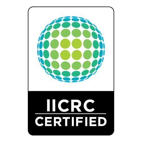 IICRC Certified logo with a green and blue dotted globe above black text on a white background