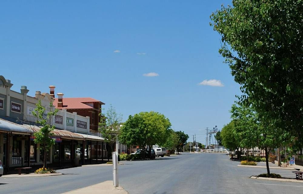A City Street With A Lot Of Trees And Buildings — James Fast Freight in Henty, NSW
