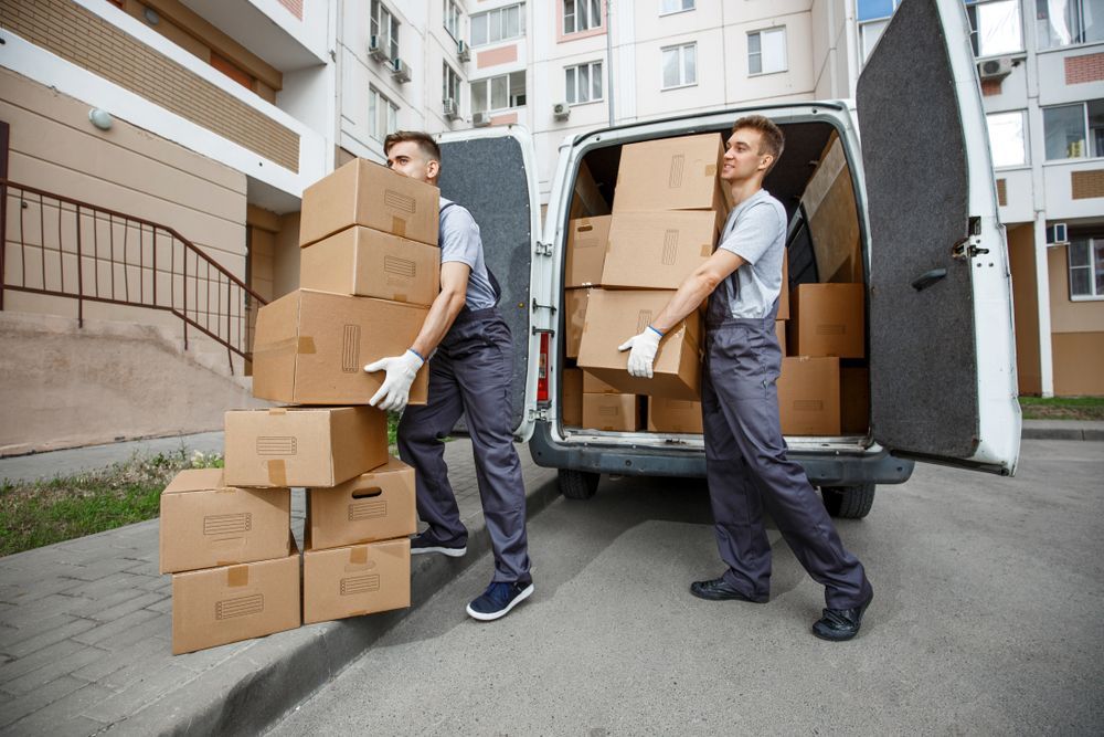 Two Men Are Carrying Boxes Out Of A Van — James Fast Freight in Wagga Wagga, NSW