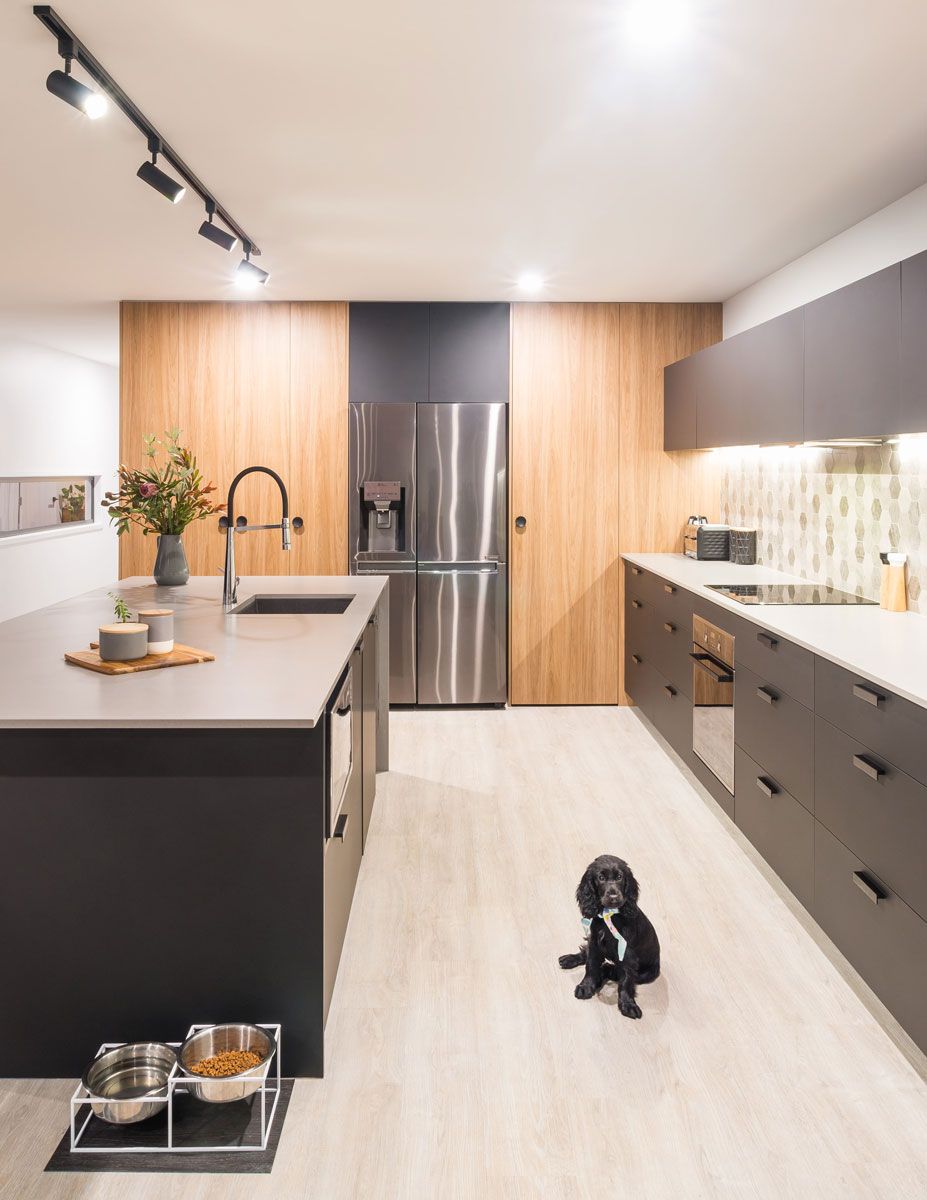 A Dog Is Standing In A Kitchen Next To A Bowl Of Food — Southeast Stone Pty Ltd In Caloundra West, QLD