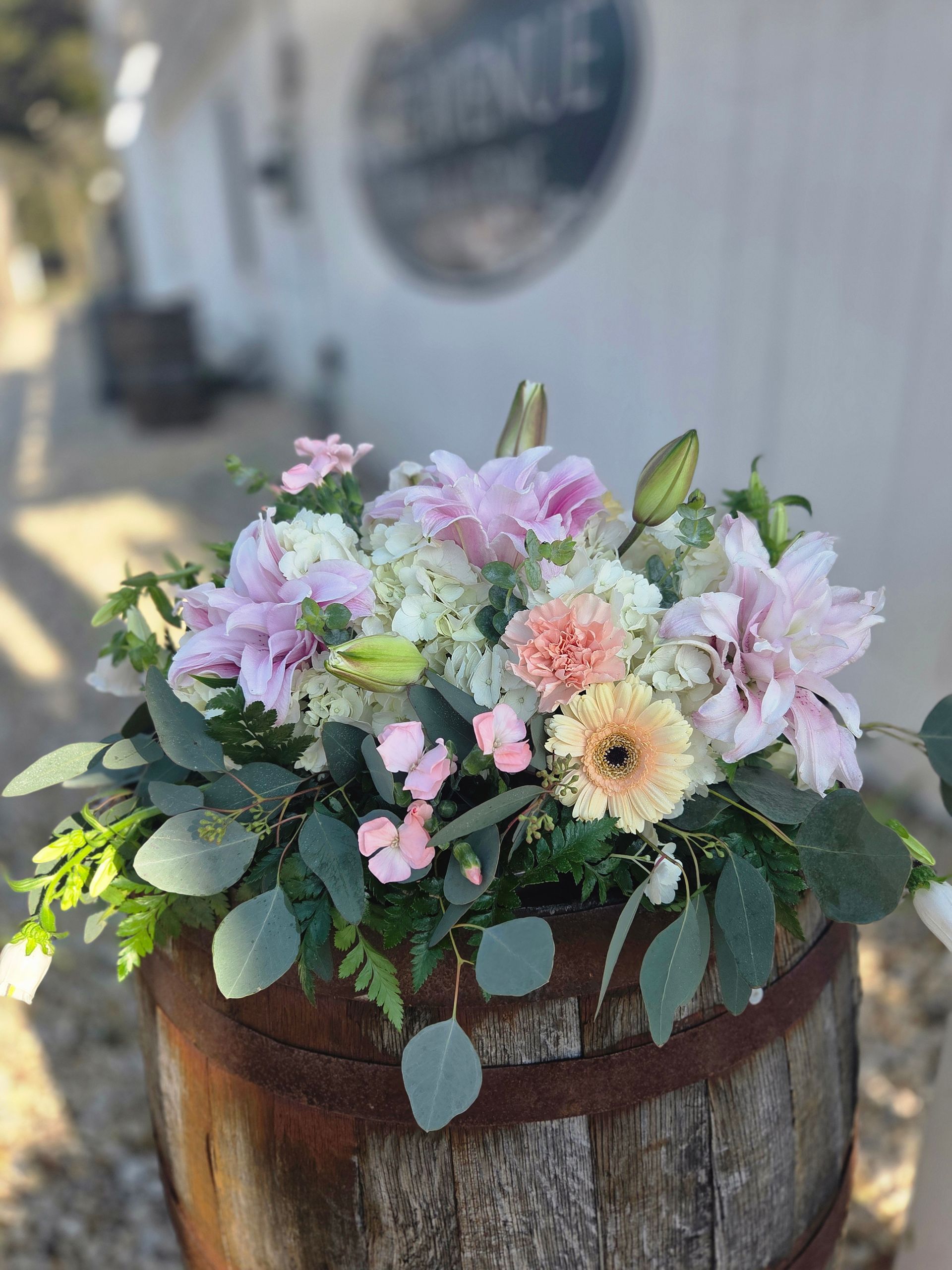 Eucalyptus Blush