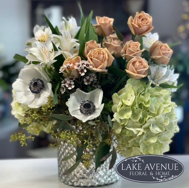 Avenue Anenome