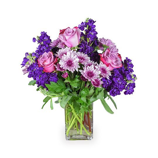 Violet Symphony