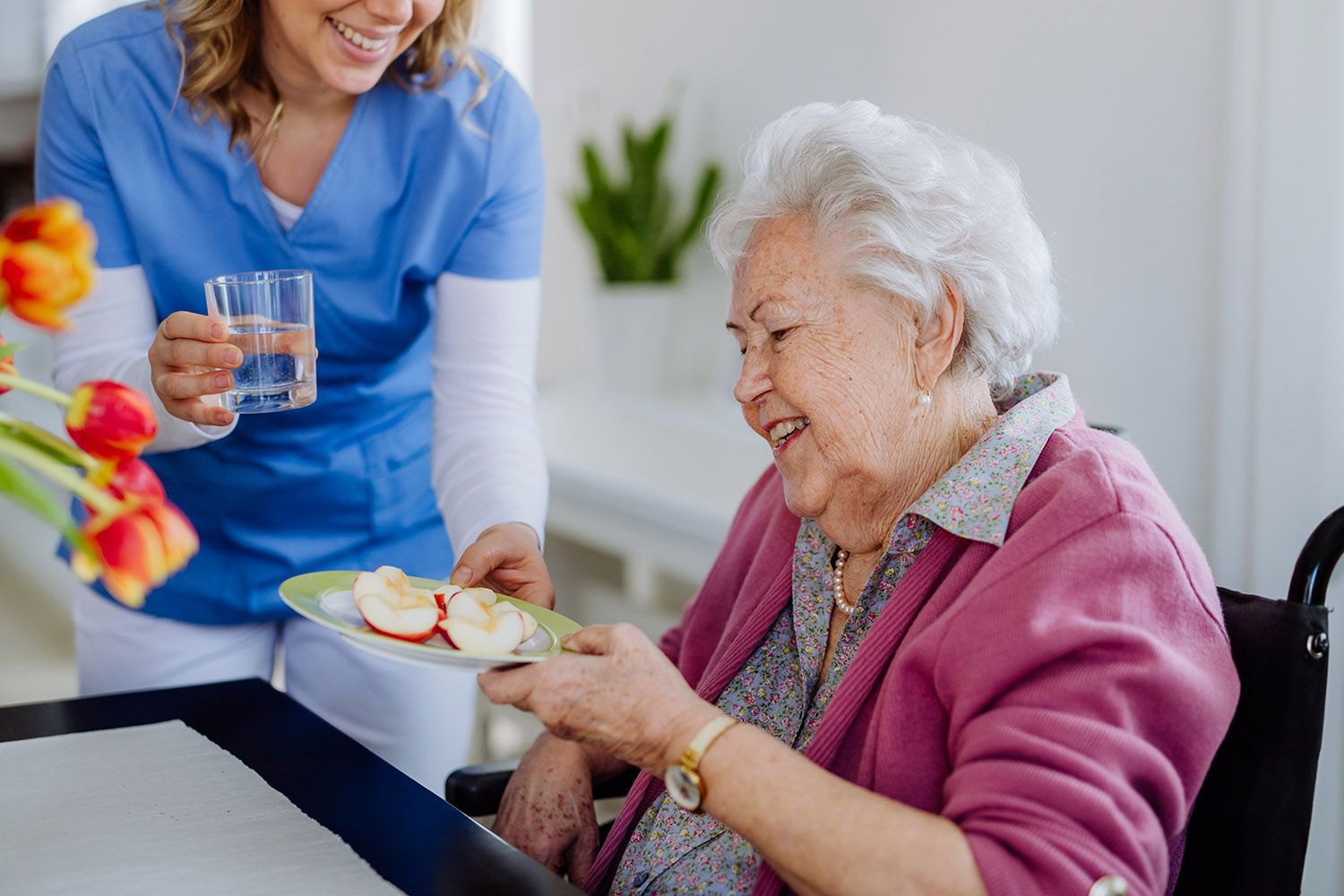 Caregiver offering sliced apples to an elderly woman in a pink sweater at a table while holding water