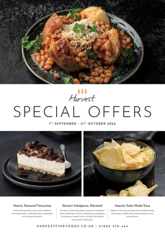 Pizza and dessert special offers flyer with pasta, fries, and plated dishes on a white background