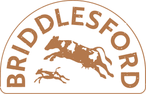 BridleSFord logo with arched brown text and silhouettes of two horses in a rounded frame