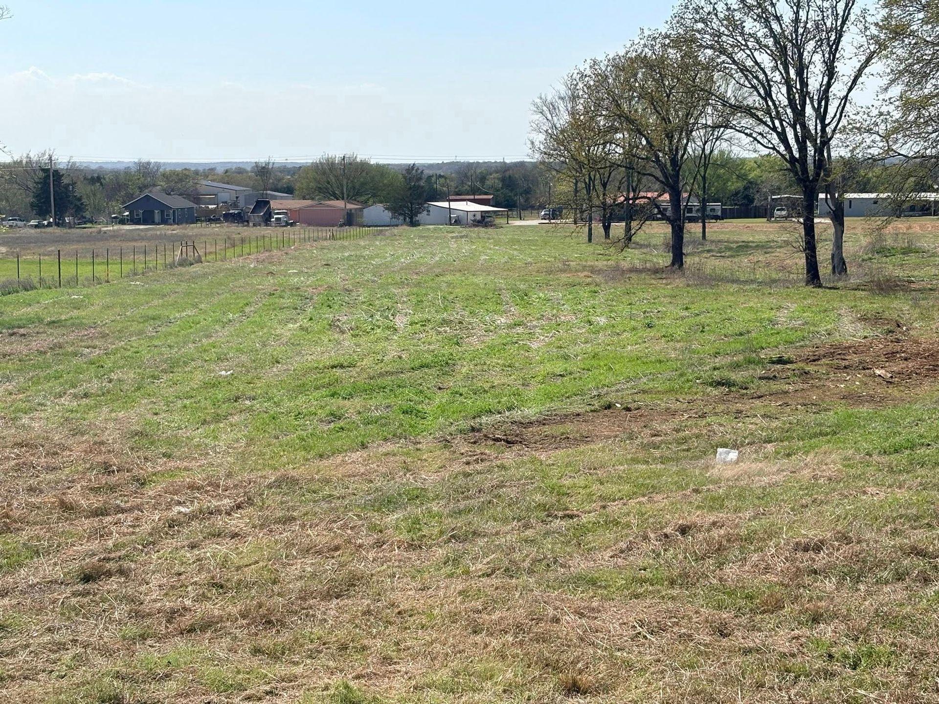 Grassy field with scattered trees and distant buildings under a clear sky