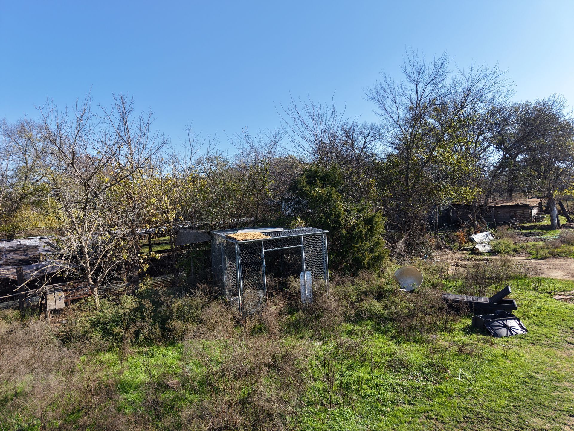 Overgrown yard with a small shed and scattered debris under a clear blue sky