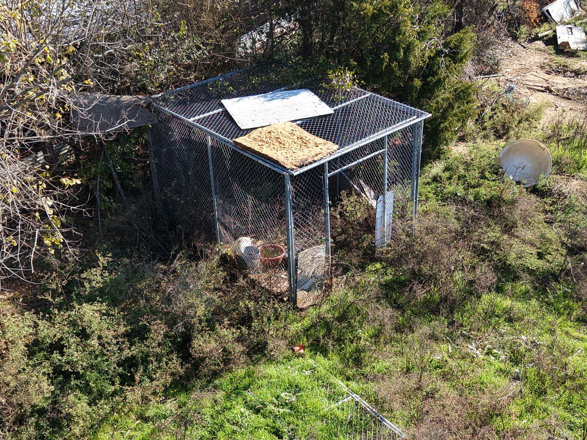 Small metal animal enclosure in overgrown grass and brush, with a white panel on top.