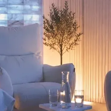 Cozy living room with white sofa, lit floor lamp, potted tree, and glassware on a table