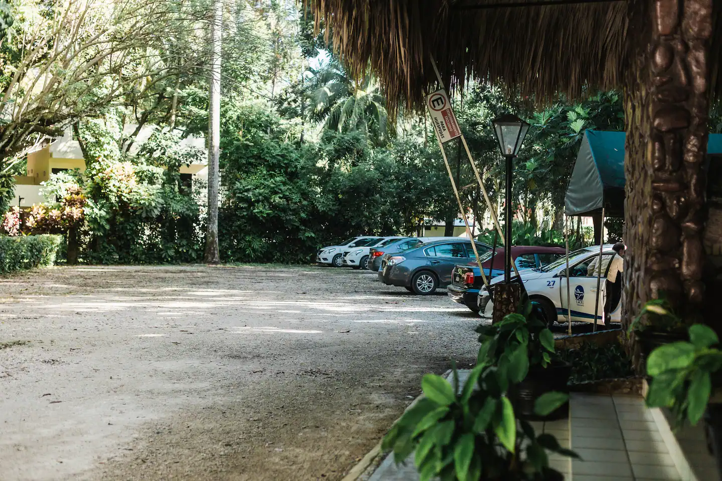 Muchos coches están estacionados en un estacionamiento con techo de paja.