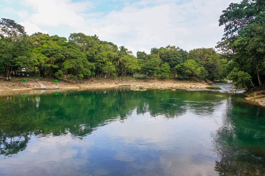 Un gran cuerpo de agua rodeado de árboles en un día soleado.