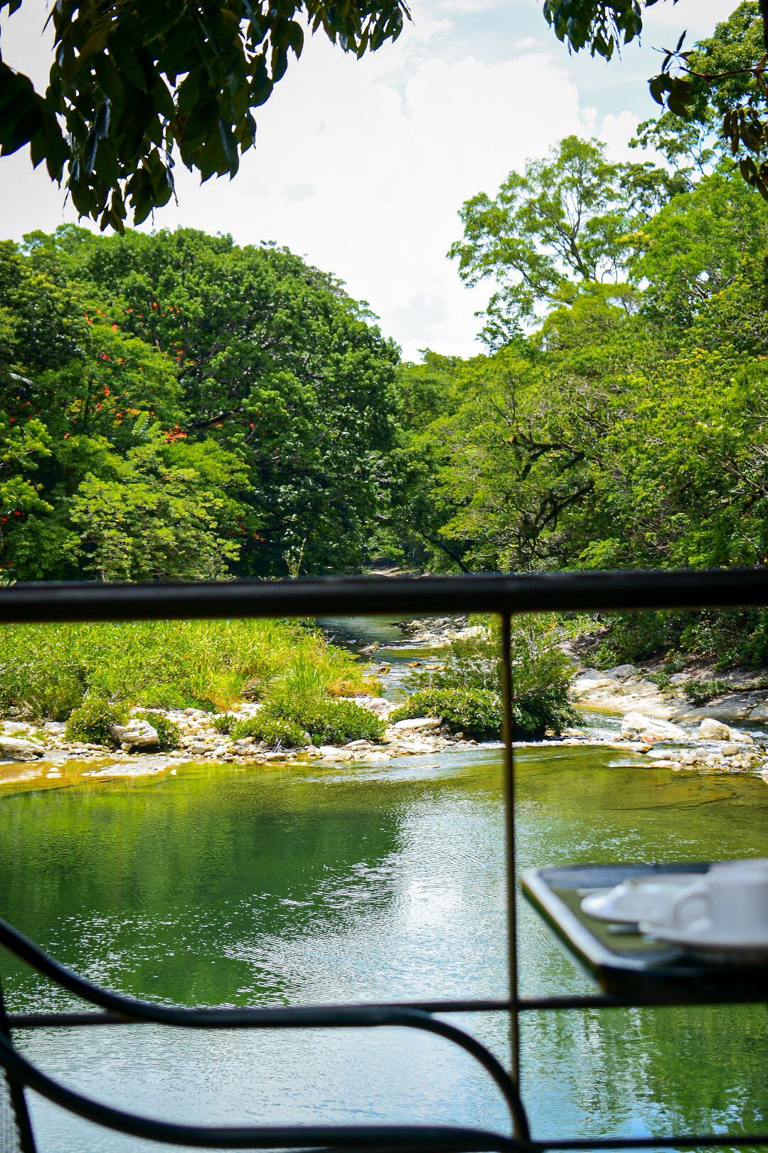 Una vista de un río desde un balcón con árboles al fondo.