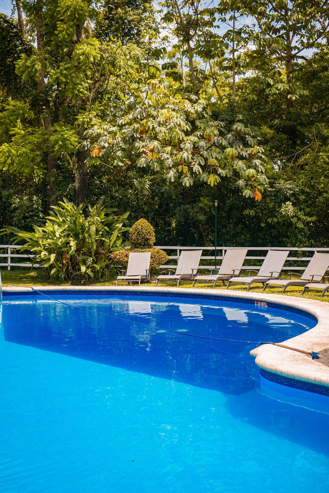 Una gran piscina rodeada de sillas y árboles.