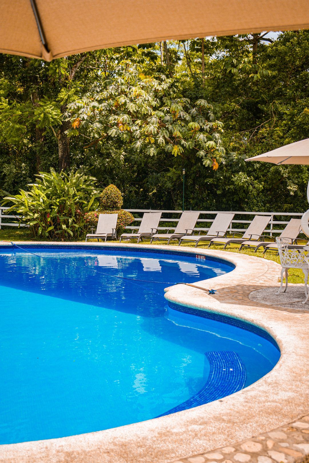 Una gran piscina con sillas y sombrillas alrededor.