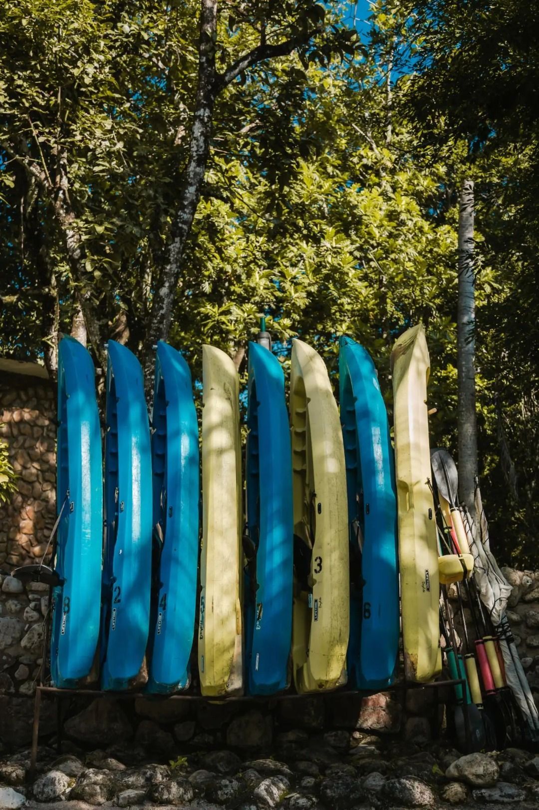 Una fila de kayaks azules y amarillos están alineados en un estante.