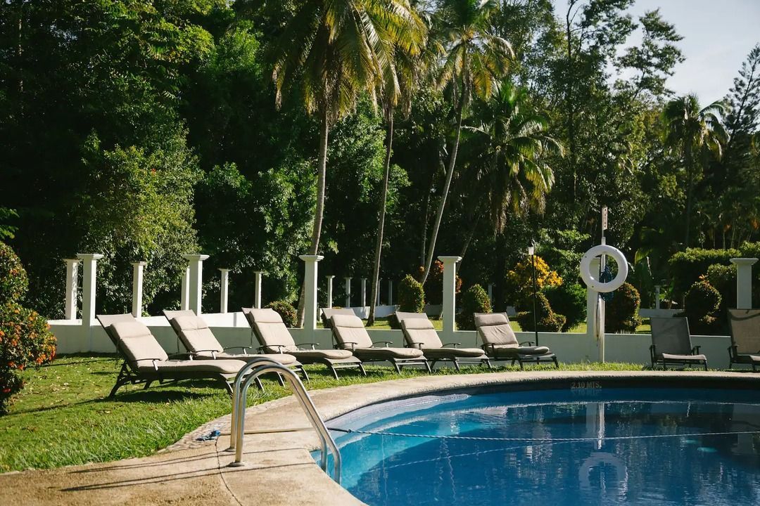 Una gran piscina rodeada de tumbonas y palmeras.