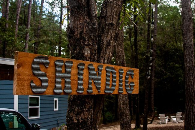 A sign that says shingle is hanging from a tree