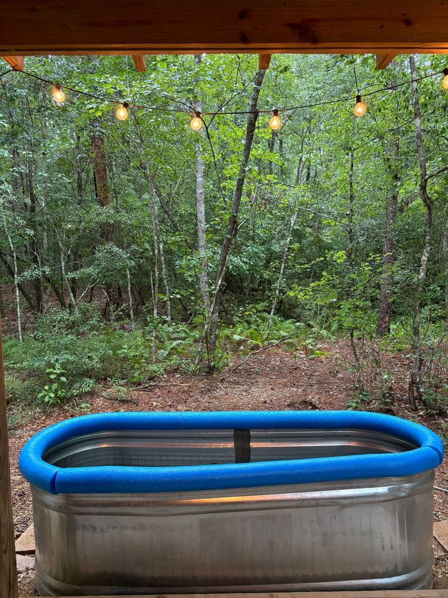 A metal tub with a blue foam cushion is sitting outside in the woods.