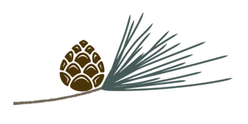pine-cone-sprig