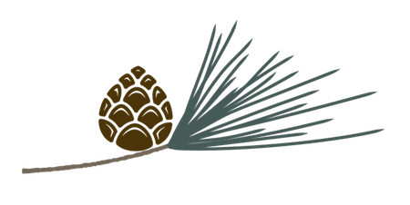 pine-cone-sprig