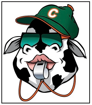 Cow wearing a green cap, sunglasses, and a whistle.