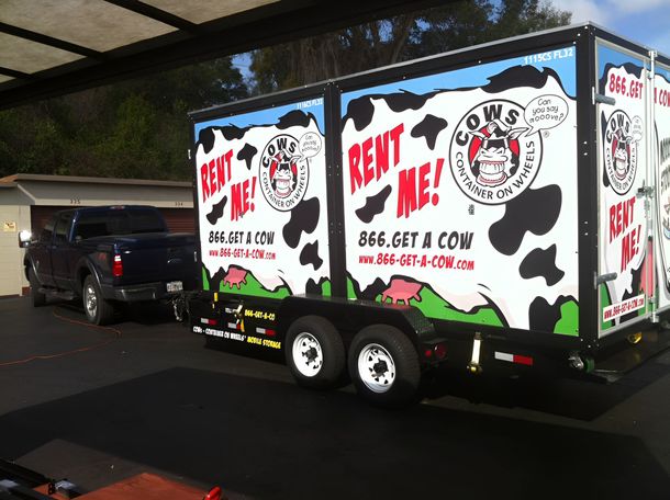 Dark blue pickup truck towing a trailer with cow-themed