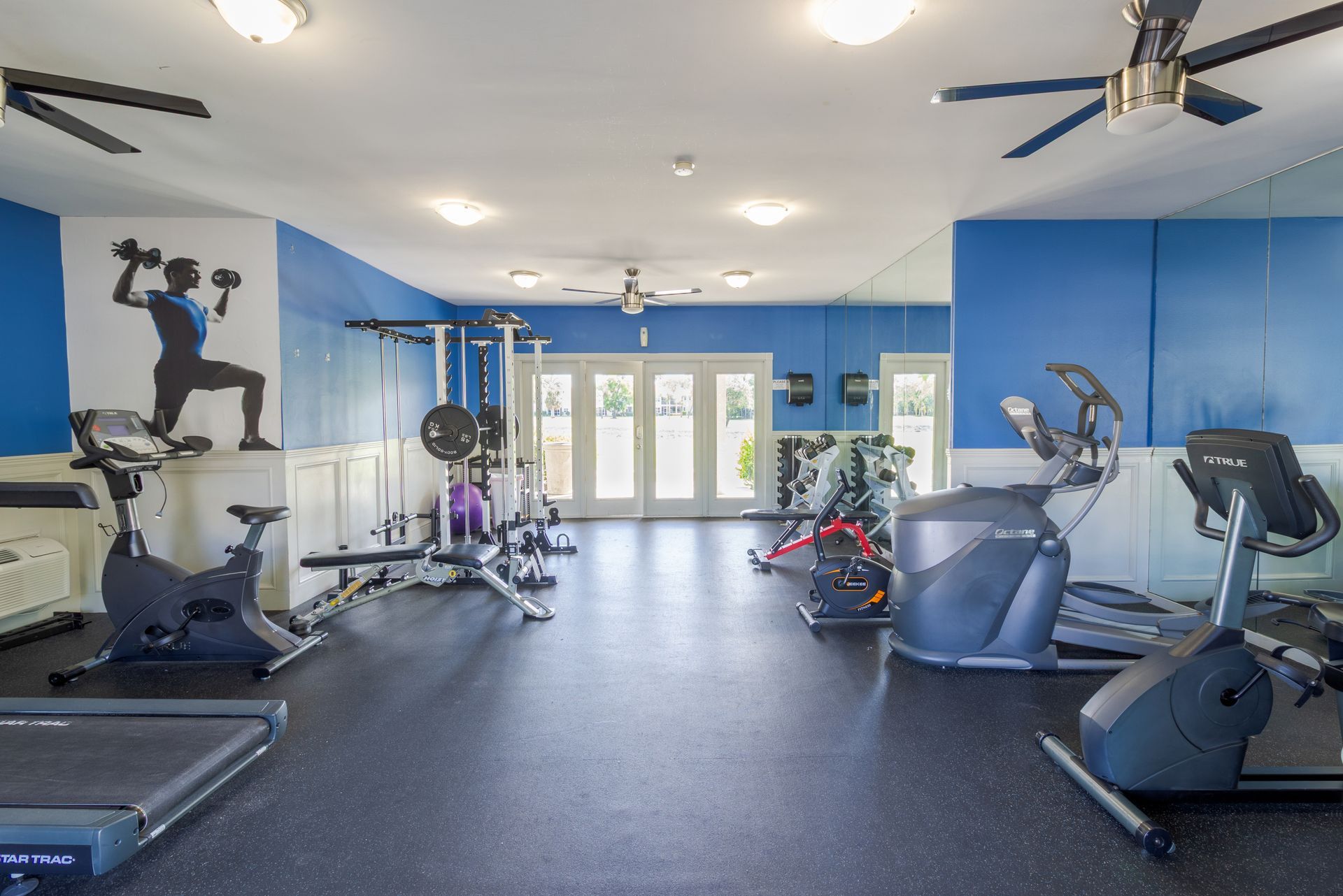 Gym interior with exercise equipment: treadmills, bikes, weights, and elliptical machines. Blue and white walls at Belvedere at Quail Run in Naples, FL.