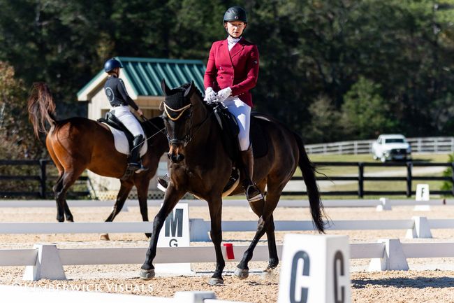 horse shoe wear and tear