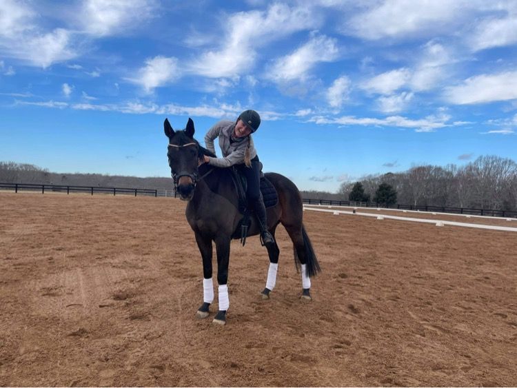 Horse hoof care