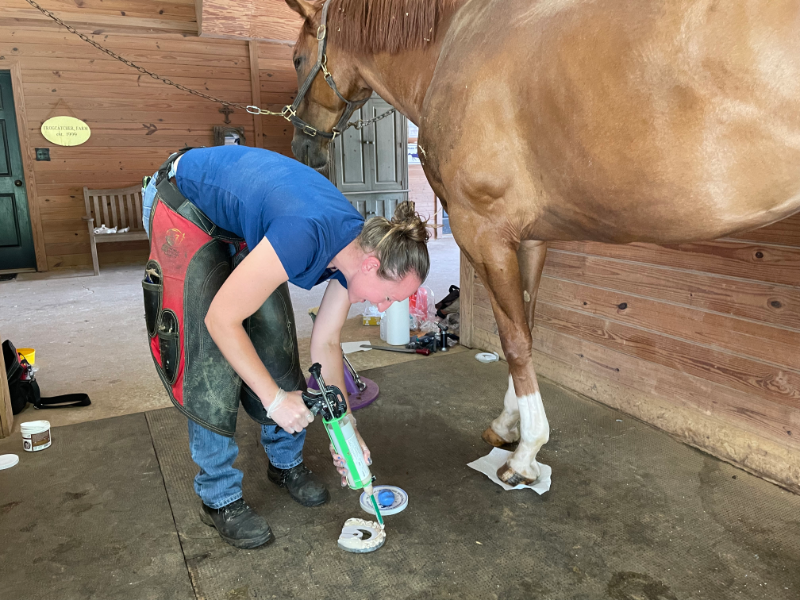 Alternative Farrier