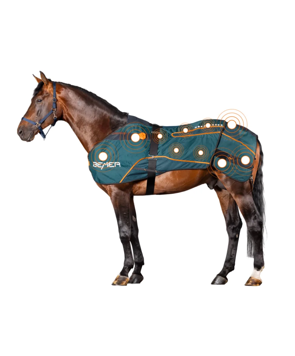 Fly boots for horses