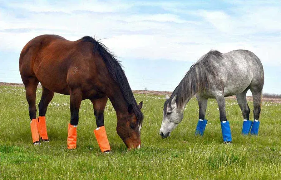 alternative farrier