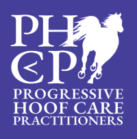 Hoof protection consultation