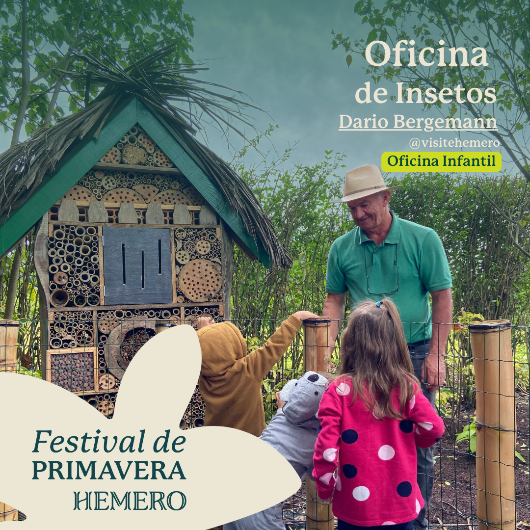 Festival de Primavera Hemero em Joinville