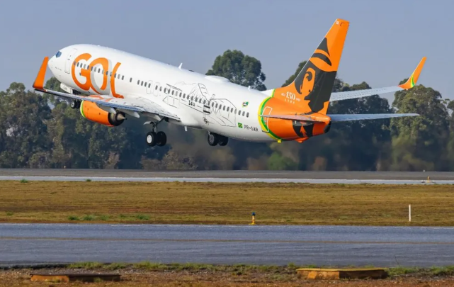 Boeing 737-800 da Gol é decorado com a imagem de Santos Dumont em comemoração ao 150 anos do 'pai da aviação' — Foto: Divulgação GOL/ @alisson.aviation