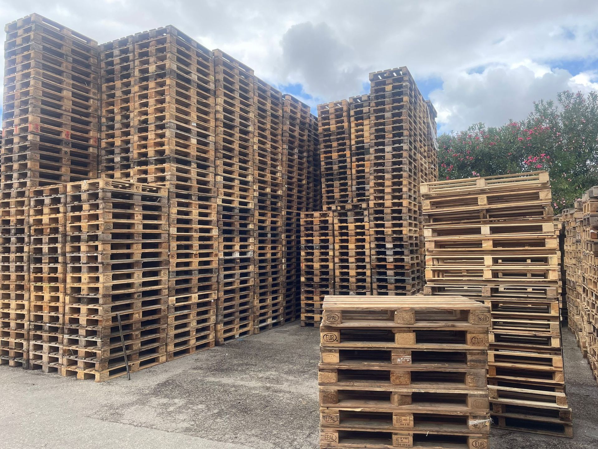 F.B.S. PALLETS VOLLA e CASORIA