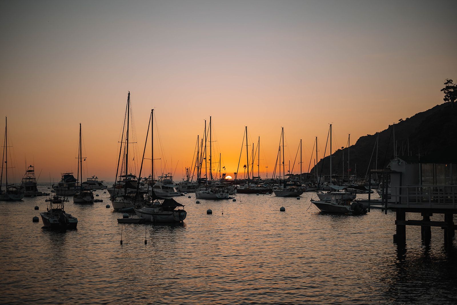 sunrise on the bay
