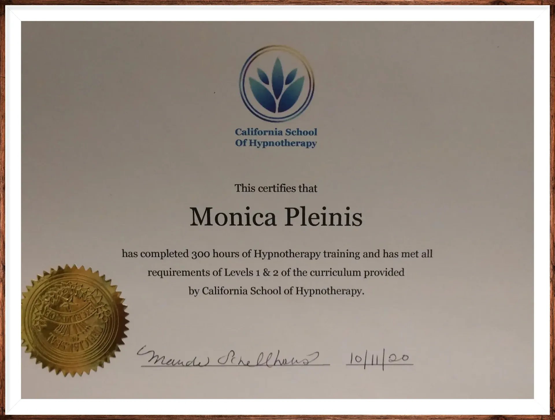 A certificate that says monica pleinis on it