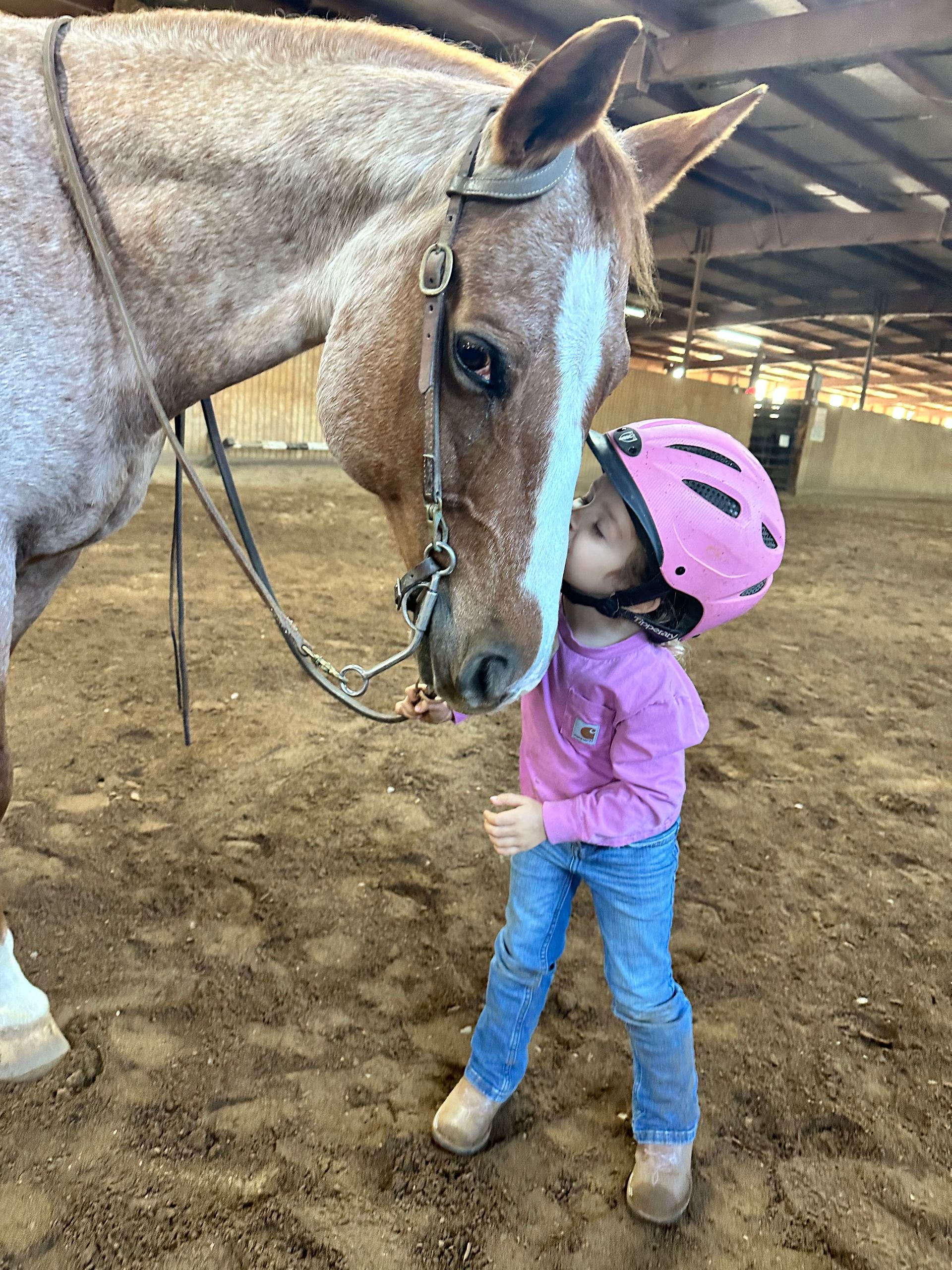 Child in pink helmet petting a tan horse in an indoor stable.
