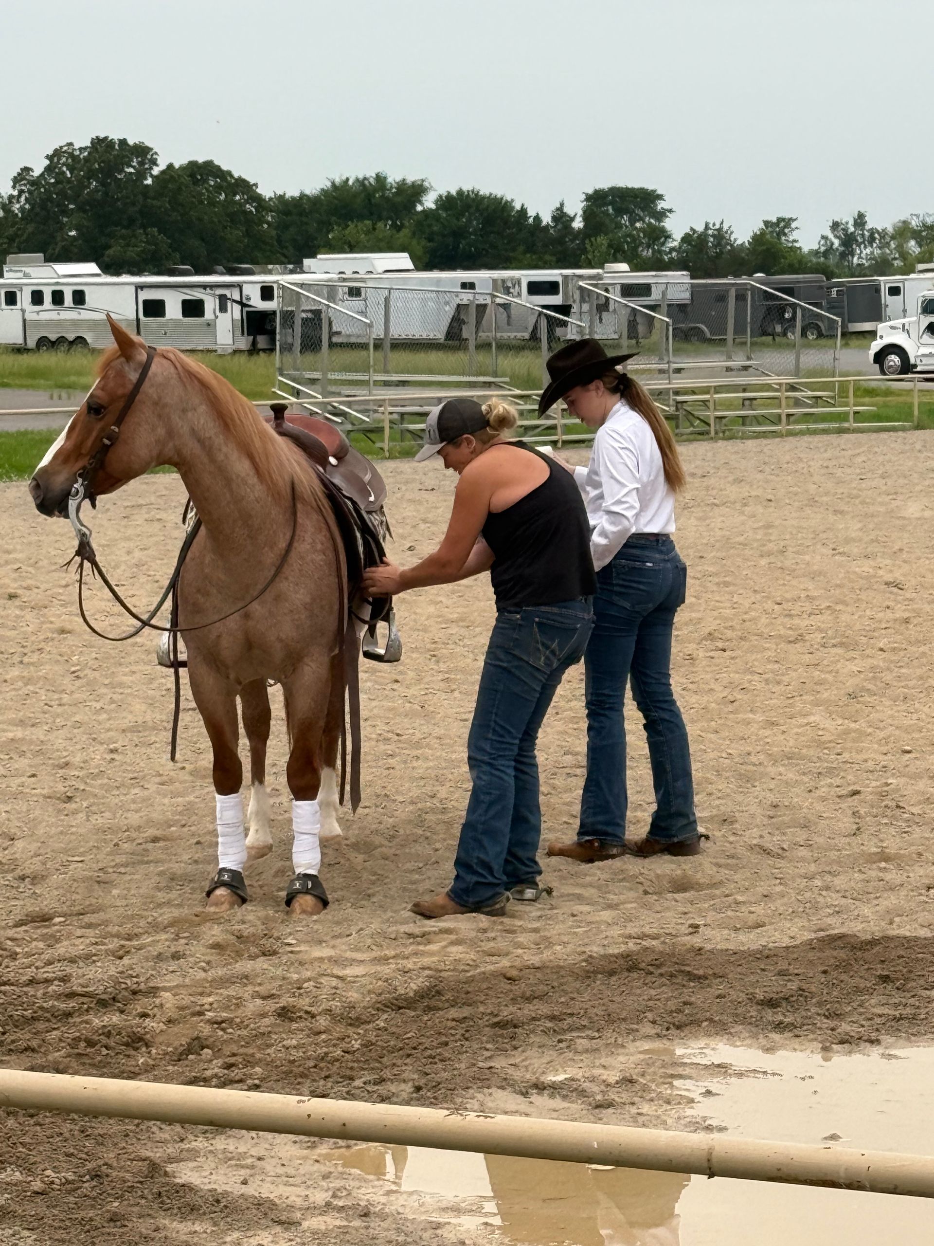 Two people adjusting tack on a tan horse in a sandy outdoor arena