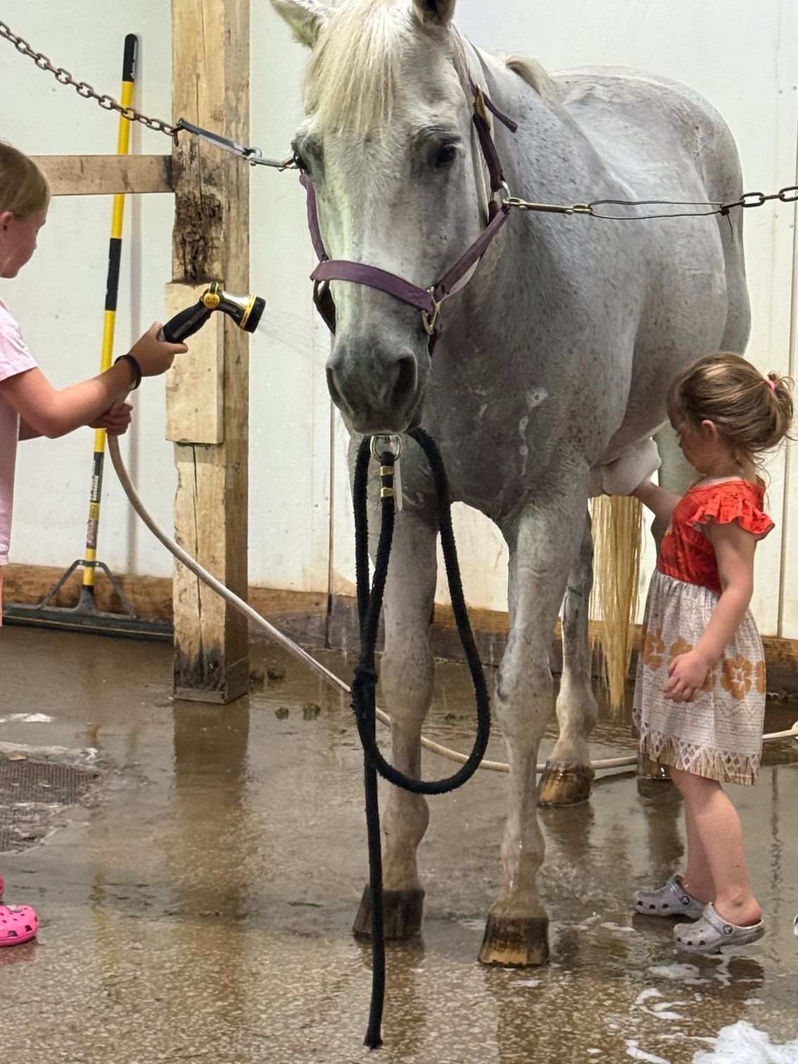 Two children wash a gray horse with a hose indoors.