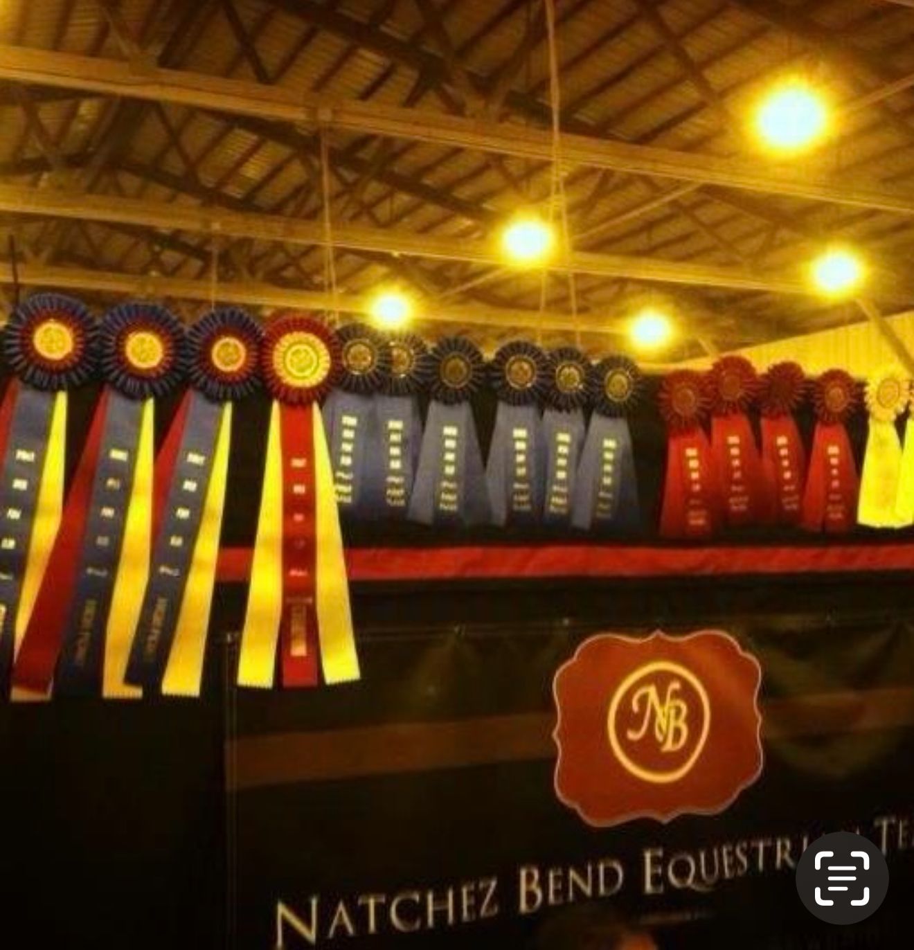 Rows of colorful horse show ribbons displayed under warm lights at Natchez Bend Equestrian.