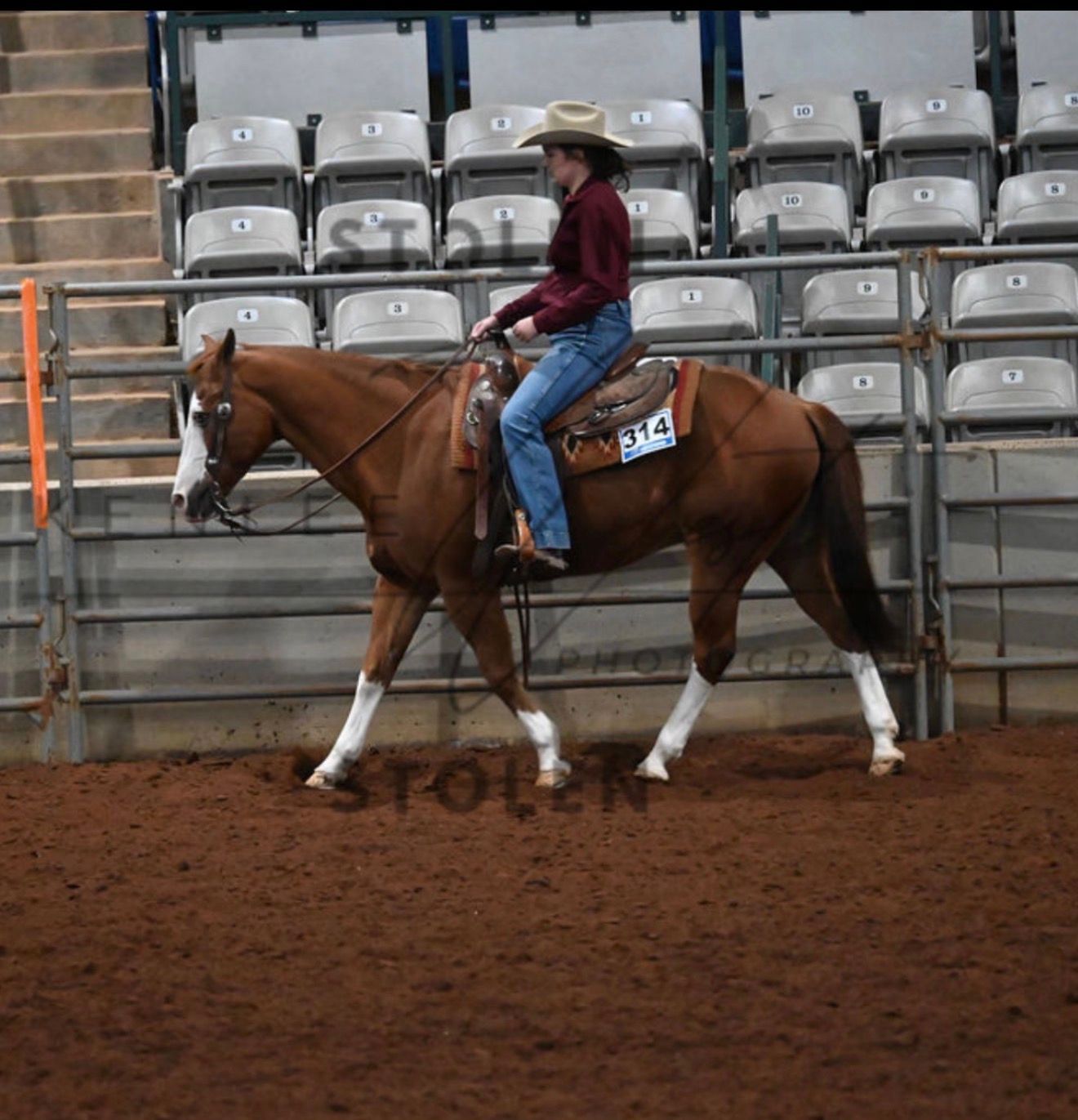 Rider on a brown horse in an indoor arena, with empty bleachers in the background.