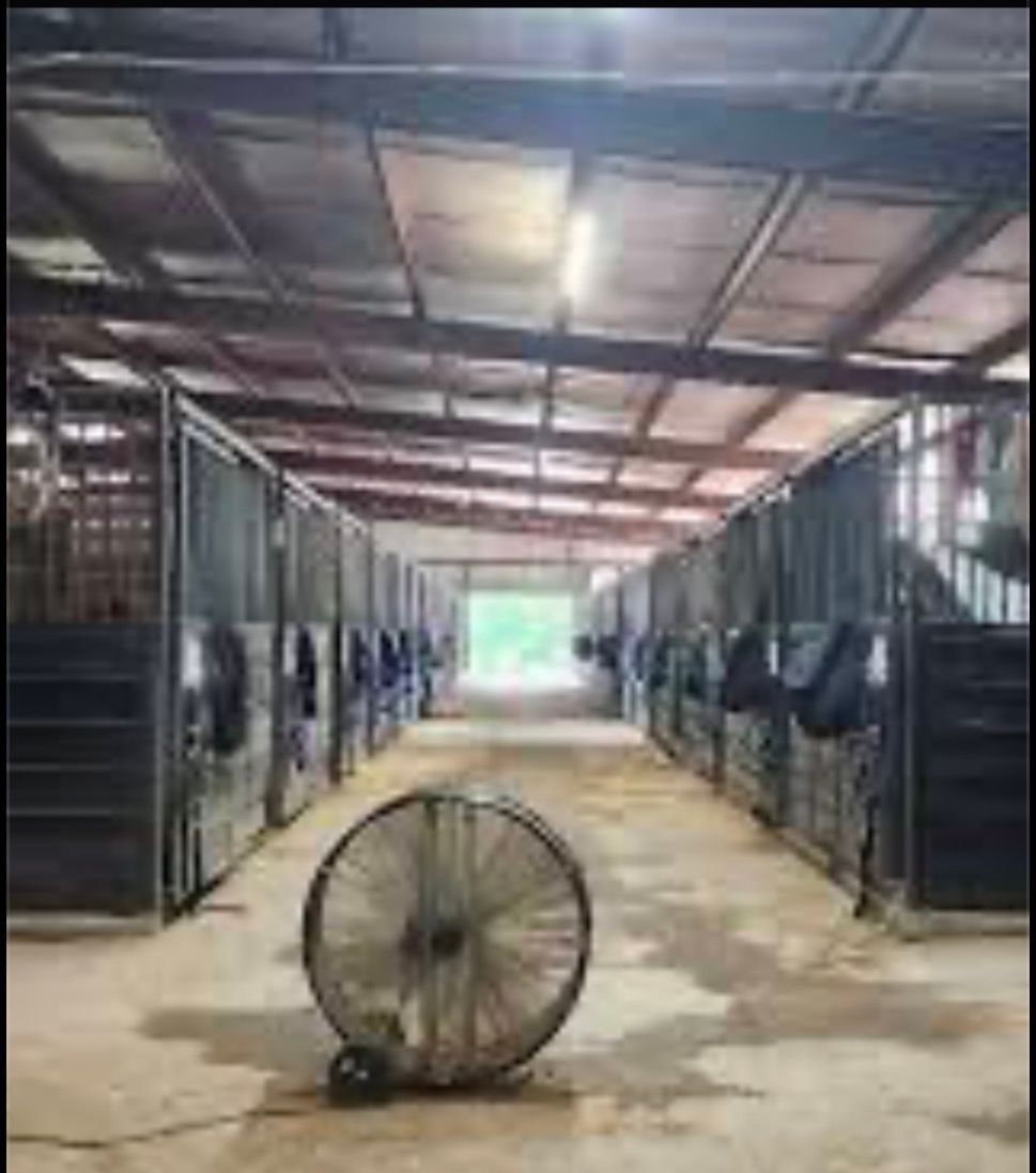 Covered horse stable with rows of stalls and a large fan in the foreground