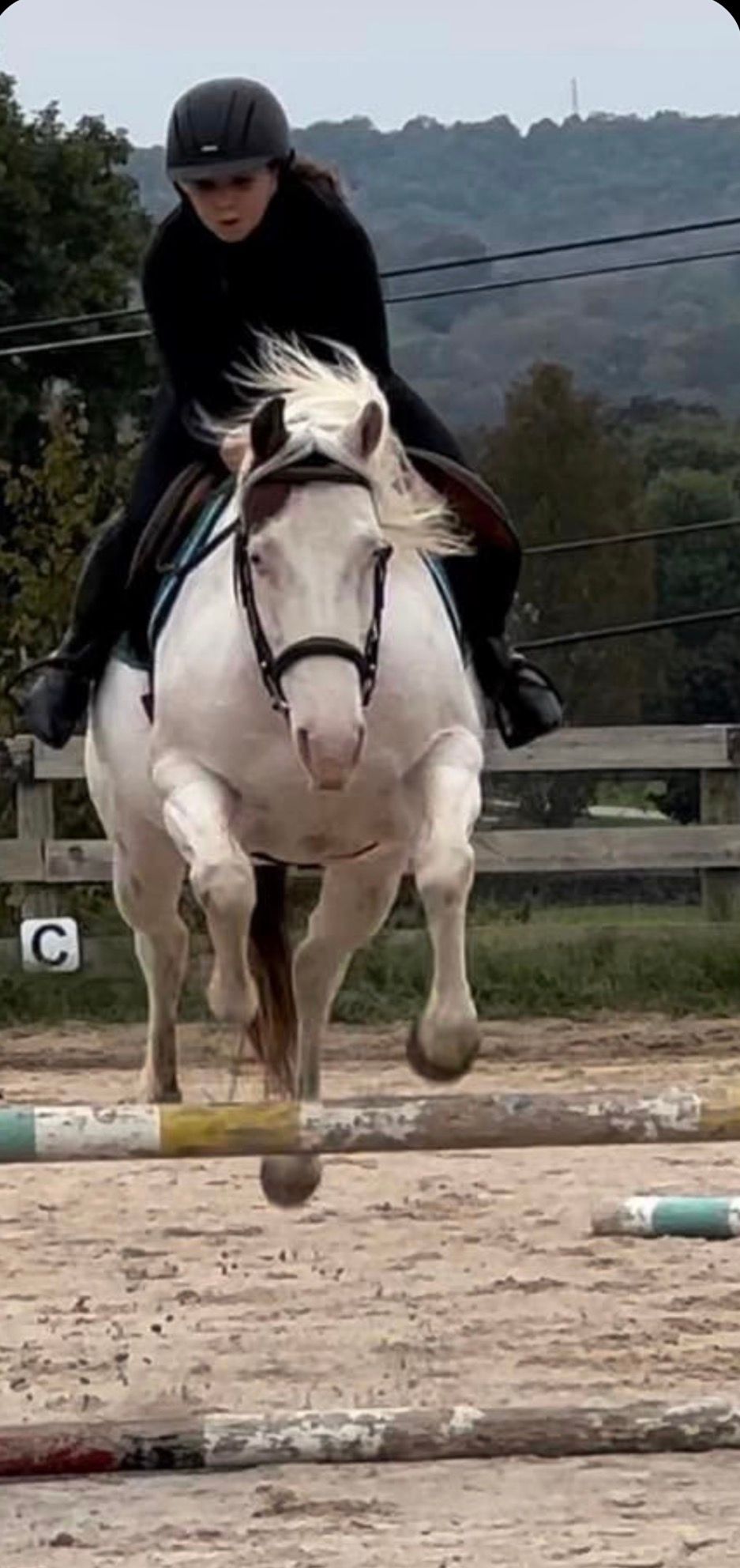 Rider on a white horse jumping a low obstacle in an outdoor arena.