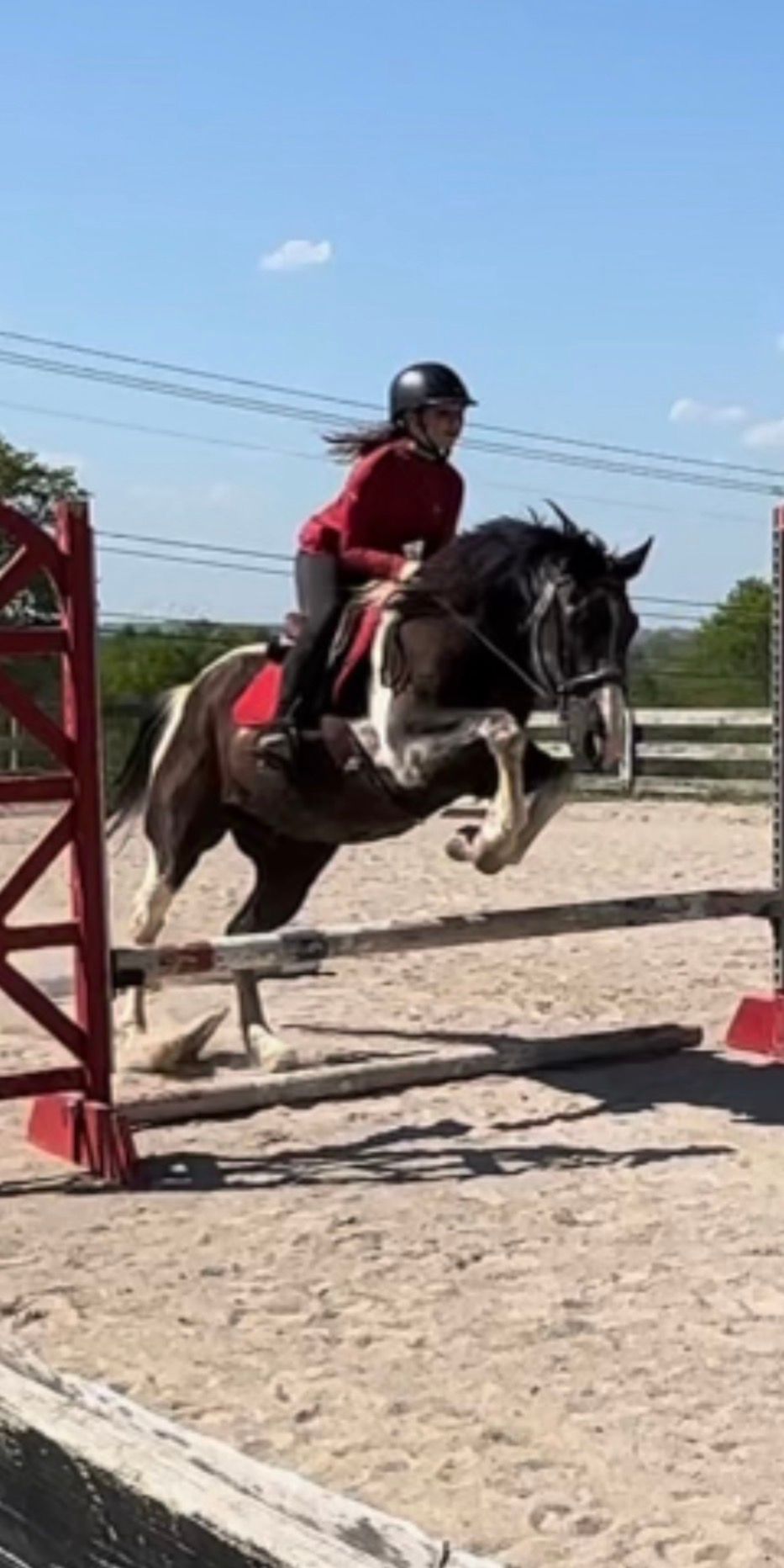Rider in red jumps a black horse over a red obstacle in a sandy arena.