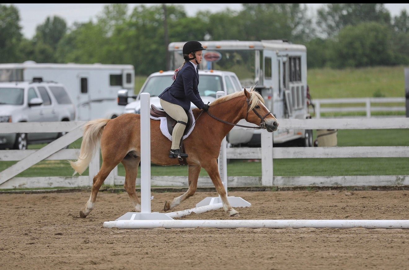 Rider on a chestnut horse jumping a low white fence in an outdoor arena