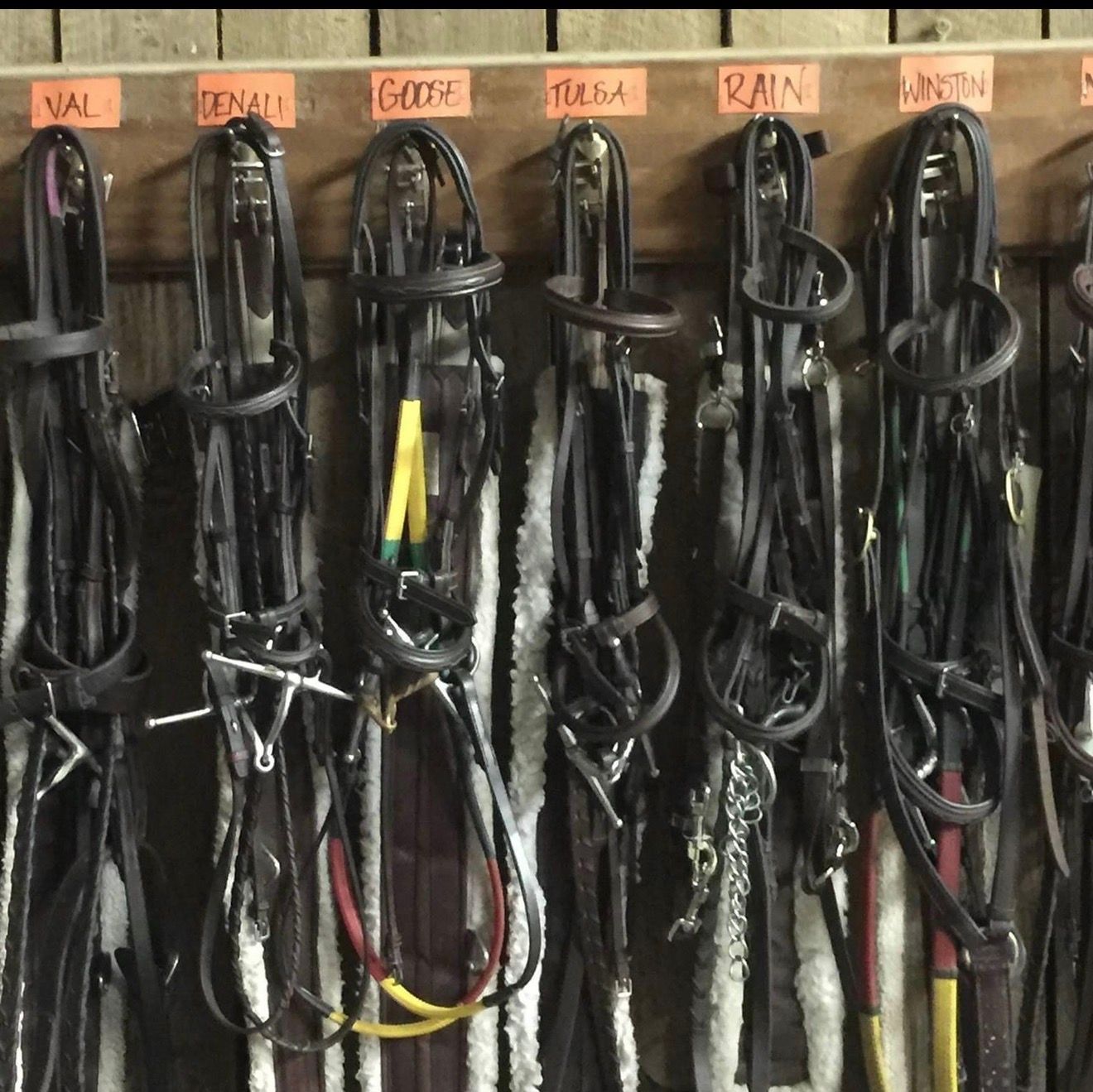 Row of bridles hanging in a tack room, each labeled with orange name tags.
